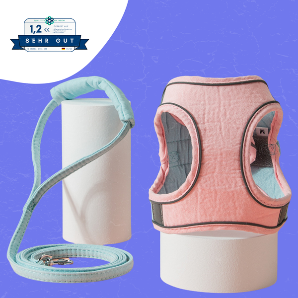 Gepolstertes Katzengeschirr inklusive Gratis Leine - Cloud Walker® von KleineKatze™