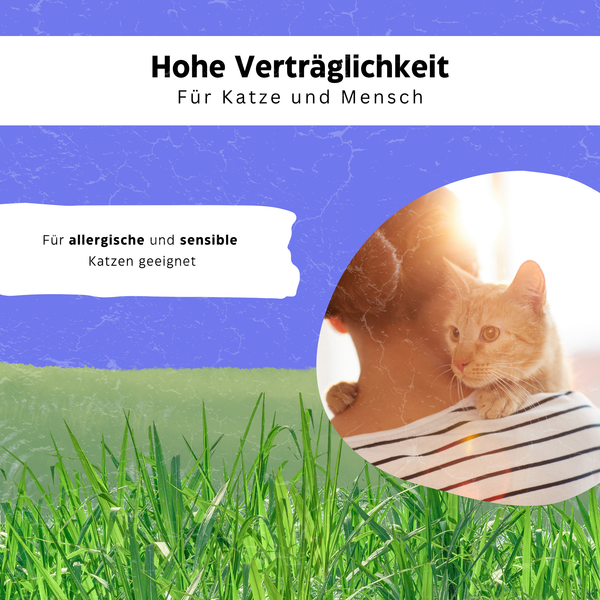 Katzenhalsband gegen Zecken & Flöhe - Zeckenstopp® von KleineKatze™