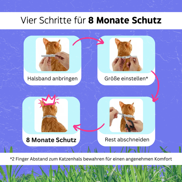 Katzenhalsband gegen Zecken & Flöhe - Zeckenstopp® von KleineKatze™
