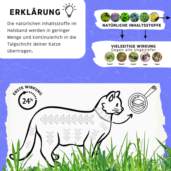 Katzenhalsband gegen Zecken & Flöhe - Zeckenstopp® von KleineKatze™