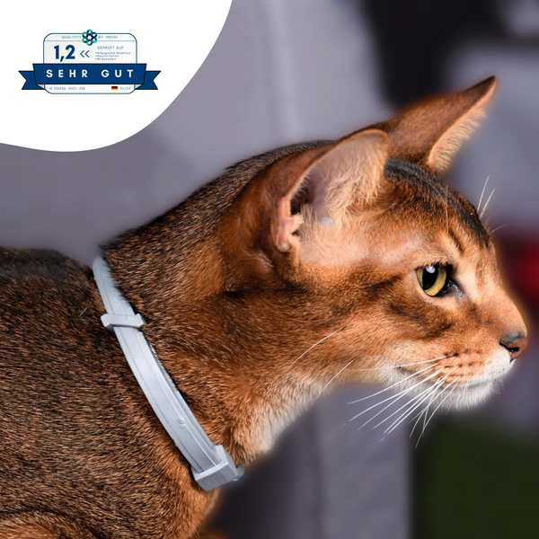 Katzenhalsband gegen Zecken & Flöhe - Zeckenstopp® von KleineKatze™