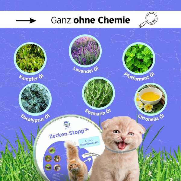 Katzenhalsband gegen Zecken & Flöhe - Zeckenstopp® von KleineKatze™