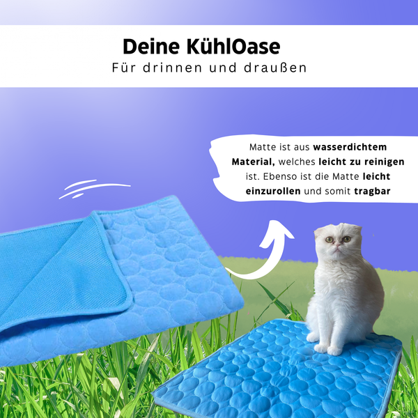 Katzenwohlfühlpaket - Das einzige was deine Fellnase im Sommer braucht