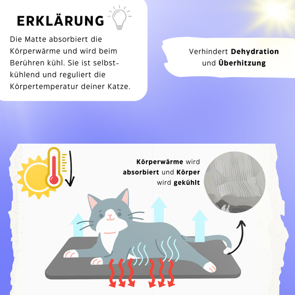 Katzenwohlfühlpaket - Das einzige was deine Fellnase im Sommer braucht