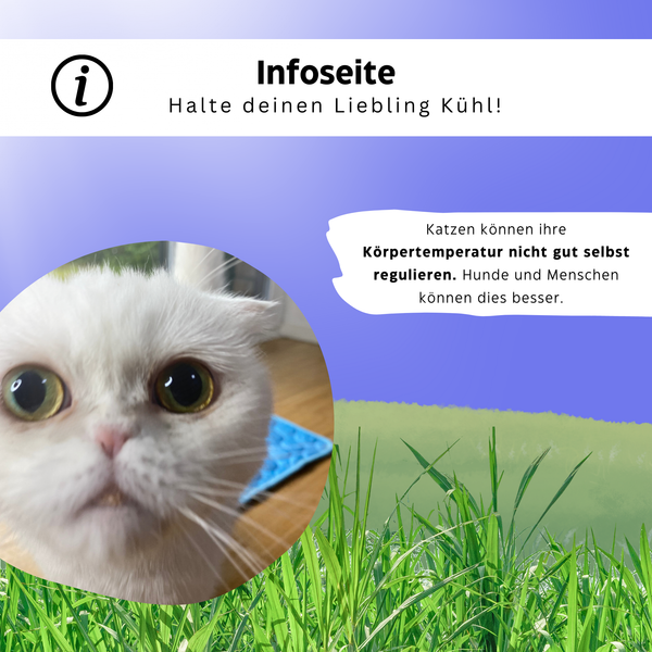 Selbstkühlende Kühlmatte für Katzen - KühlOase® von KleineKatze™