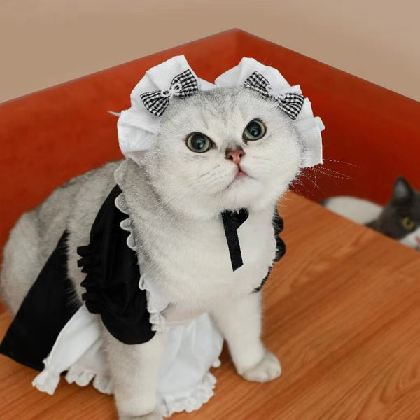 Katzenkostüm | Süße Prinzessin