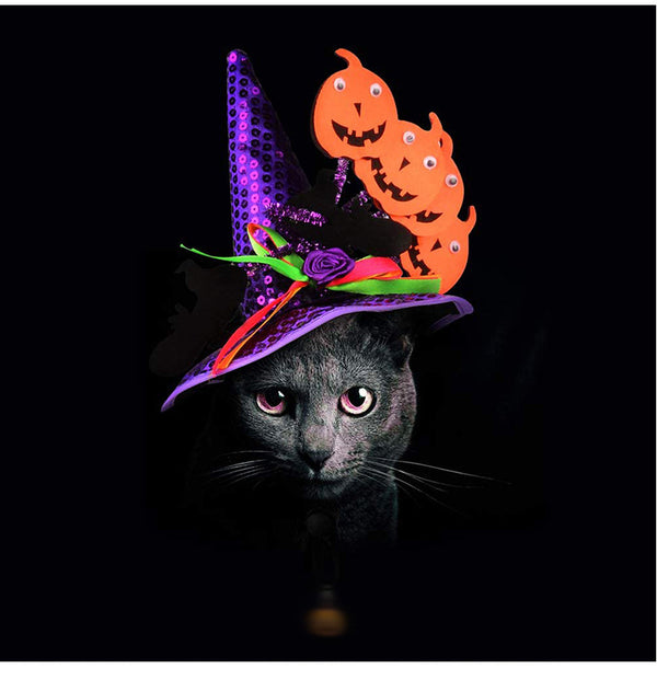 Hexenkostüm für Katzen | Perfekt zu Halloween