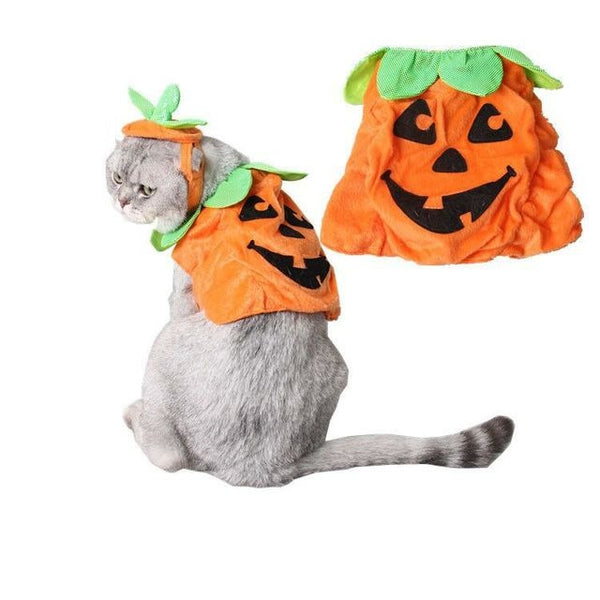 Halloween Kostüm für Katzen | Süßes Kürbis Kostüm