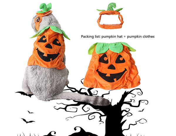 Halloween Kostüm für Katzen | Süßes Kürbis Kostüm