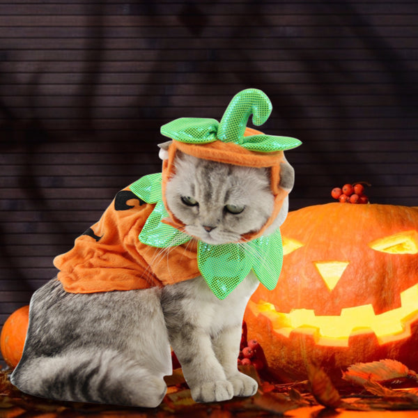 Halloween Kostüm für Katzen | Süßes Kürbis Kostüm