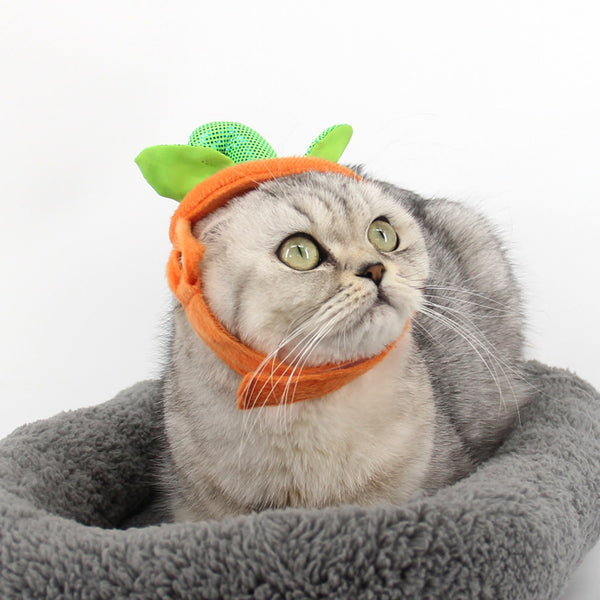 Halloween Kostüm für Katzen | Süßes Kürbis Kostüm