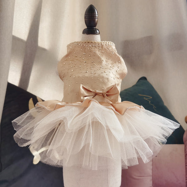 Süßes Katzenkleid | Halloween Outfit