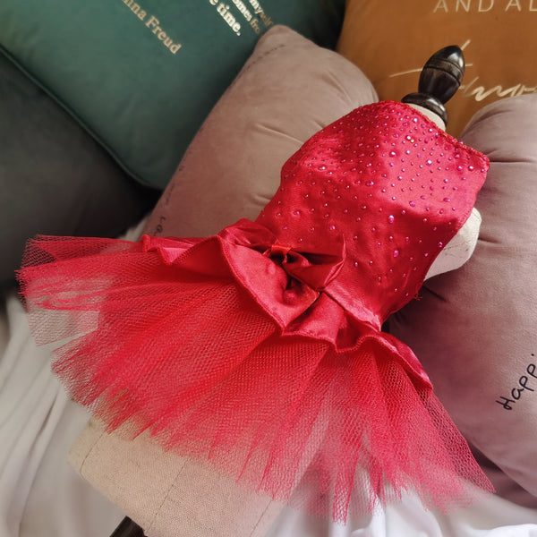 Süßes Katzenkleid | Halloween Outfit
