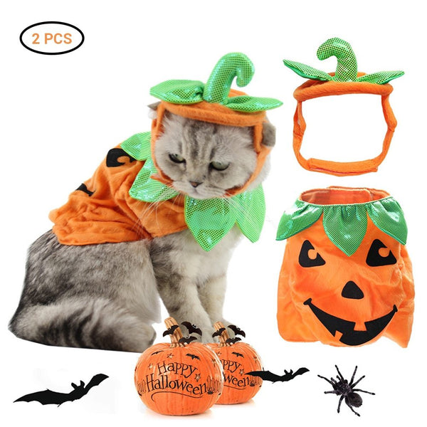Halloween Kostüm für Katzen | Süßes Kürbis Kostüm