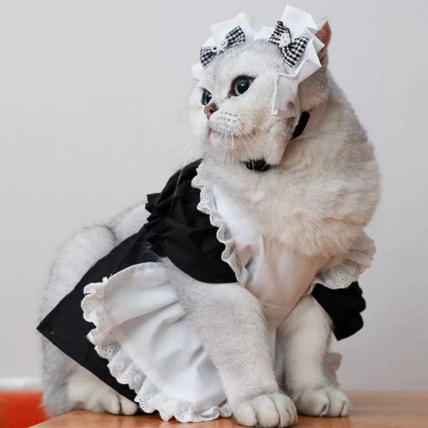 Katzenkostüm | Süße Prinzessin