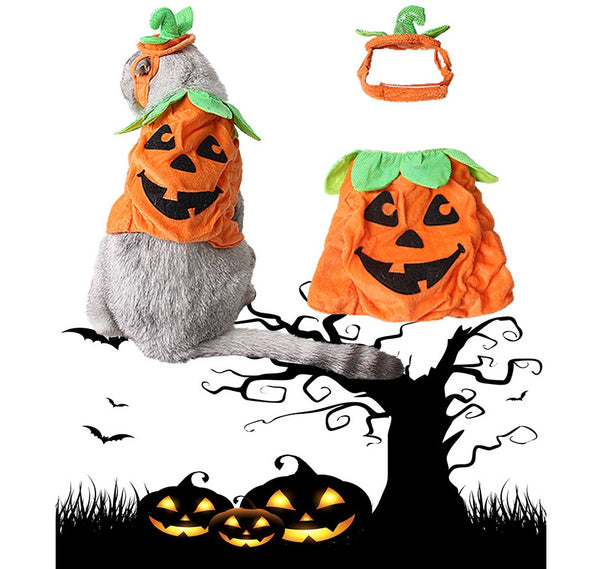 Halloween Kostüm für Katzen | Süßes Kürbis Kostüm
