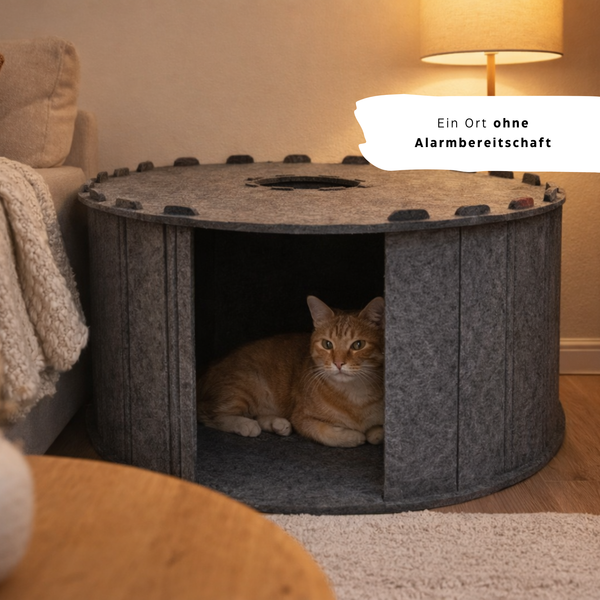 CalmiCave - Der sichere Rückzugsort für Katzen