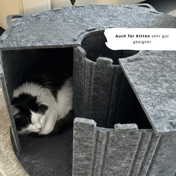 CalmiCave - Der sichere Rückzugsort für Katzen