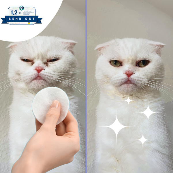 Tierfreundliche Feuchttücher für Katzen - Tränenfänger® von KleineKatze™
