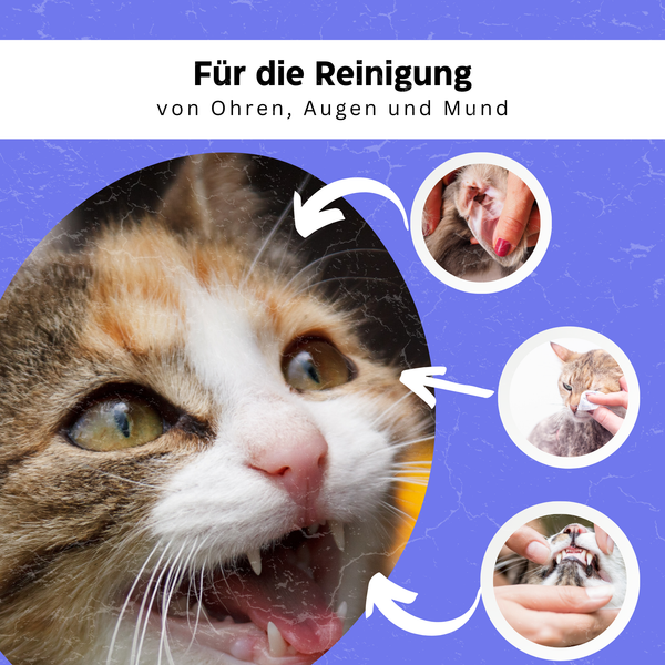 Tierfreundliche Feuchttücher für Katzen - Tränenfänger® von KleineKatze™